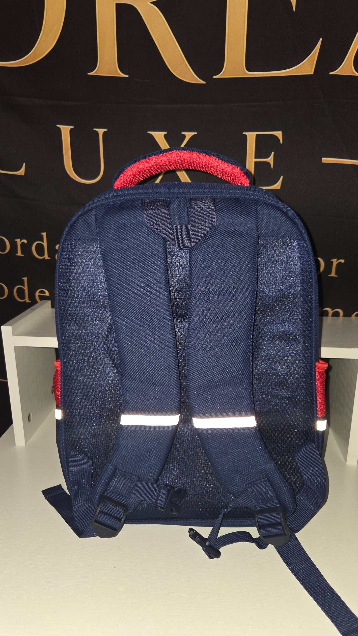 Andrea B Luxe Kindergarten School Backpack for Kids (Ages 3–6)